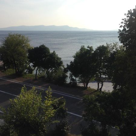 Apartment Marina Senj Senj (Lika-Senj) Exterior foto